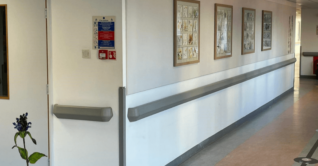 ArtsExhibitionsPlantsThatHealFeatured