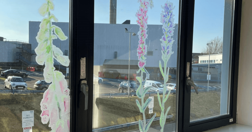 ArtsExhibitionsPlantsThatHealFeatured 2