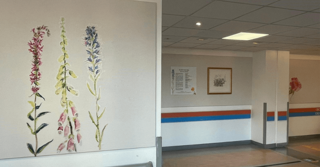 ArtsExhibitionsPlantsThatHealFeatured 3