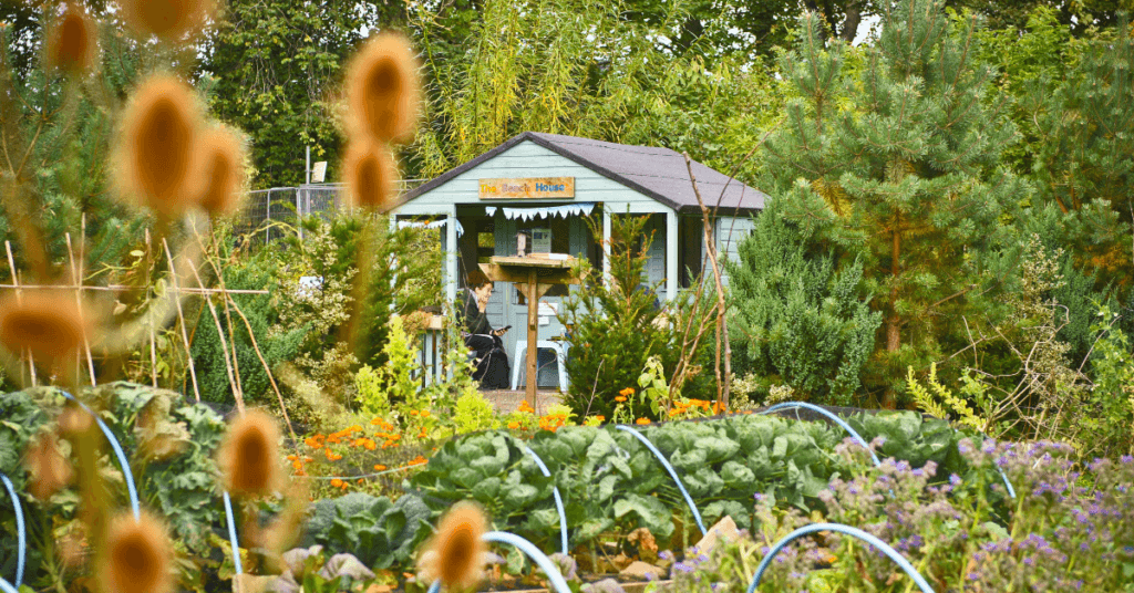 Greenspace Biodiversity audit and climate change assessment