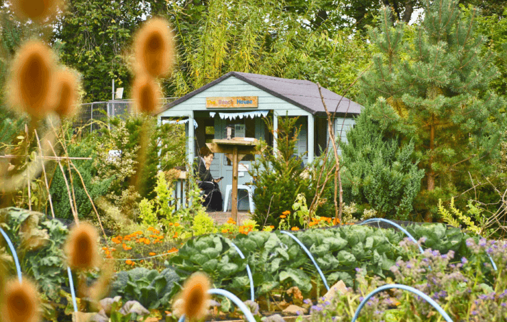 Greenspace Biodiversity audit and climate change assessment