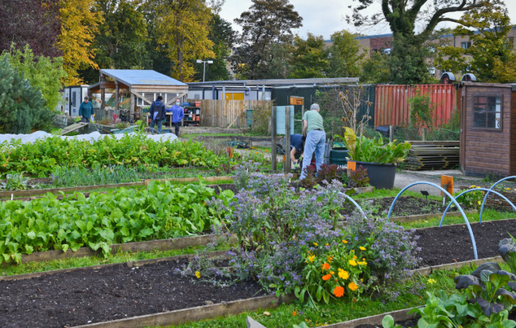 Community Garden at Royal Edinburgh Hospital