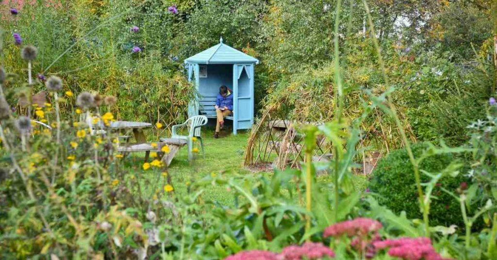 Photo of boy reading in a small garden hut