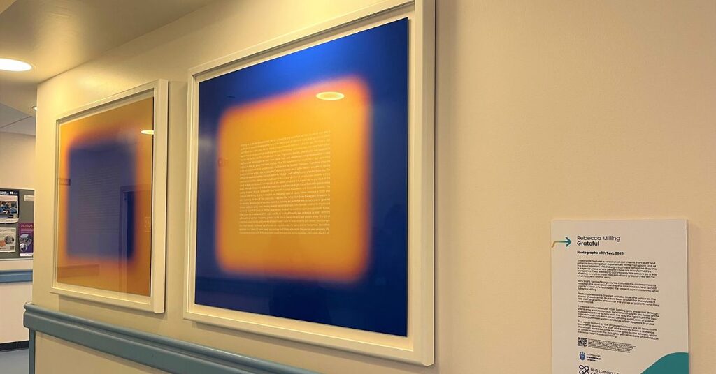 Quotes from patients and staff forming a new two-panel artwork at the Royal Infirmary of Edinburgh's Transplant Unit